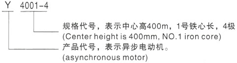 西安泰富西玛Y系列(H355-1000)高压YJTG-250M-4A/55KW三相异步电机型号说明