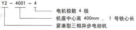 YR系列(H355-1000)高压YJTG-250M-4A/55KW三相异步电机西安西玛电机型号说明